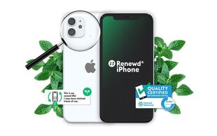 Renewd® iPhone 11 128GB RND-P142128 цена и информация | Мобильные телефоны | pigu.lt