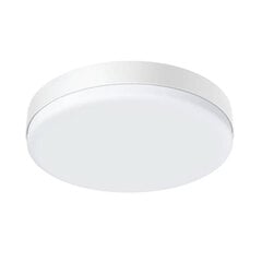 LED ceiling lamp BlitzWolf BW-LT38 with remote control, 24 Вт цена и информация | Потолочные светильники | pigu.lt