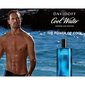 Tualetinis vanduo Davidoff Cool Water EDT vyrams 200 ml kaina ir informacija | Kvepalai vyrams | pigu.lt