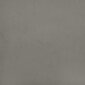Lovos rėmas, Aksomas, 160x200 cm, šviesiai pilka kaina ir informacija | Lovos | pigu.lt