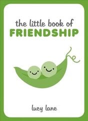 Little Book of Friendship kaina ir informacija | Saviugdos knygos | pigu.lt