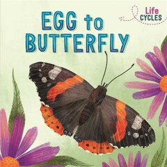 Life Cycles: Egg to Butterfly цена и информация | Книги для подростков и молодежи | pigu.lt