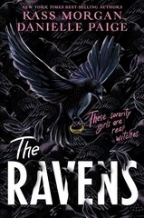 Ravens цена и информация | Книги для подростков  | pigu.lt