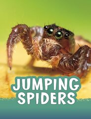 Jumping Spiders цена и информация | Книги для подростков  | pigu.lt