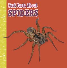 Fast Facts About Spiders kaina ir informacija | Knygos paaugliams ir jaunimui | pigu.lt