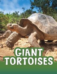 Giant Tortoises kaina ir informacija | Knygos paaugliams ir jaunimui | pigu.lt