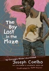 Boy Lost in the Maze kaina ir informacija | Knygos paaugliams ir jaunimui | pigu.lt