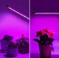 Augalų lempa 2x 40W kaina ir informacija | Daigyklos, lempos augalams | pigu.lt
