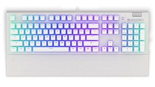 Endorfy Omnis механическая клавиатура с подсветкой RGB Pudding Edition (US, Kailh RED switch) цена и информация | Клавиатуры | pigu.lt