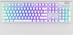 Endorfy Omnis механическая клавиатура с подсветкой RGB Pudding Edition (US, Kailh RED switch) цена и информация | Клавиатуры | pigu.lt