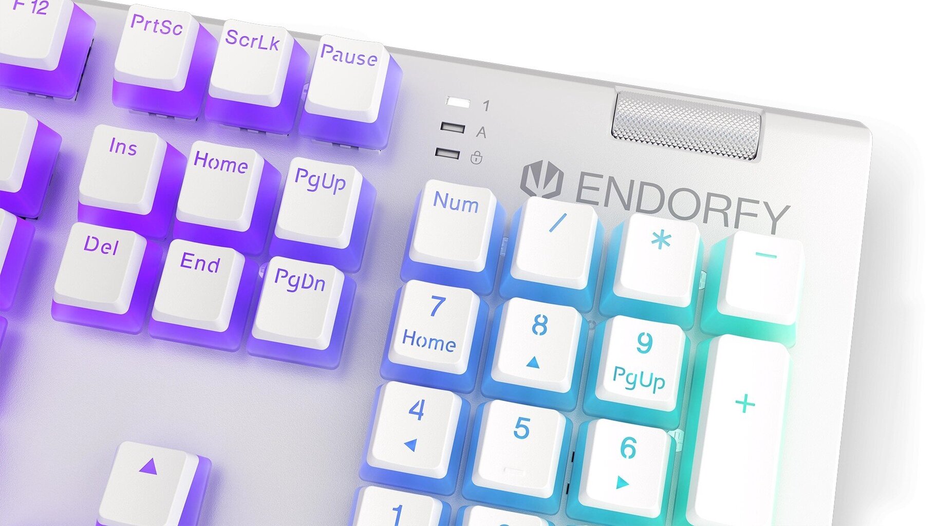 Endorfy Omnis RGB Pudding Edition kaina ir informacija | Klaviatūros | pigu.lt
