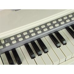 Elektrinis pianinas LeanToys, mėlynas kaina ir informacija | Lavinamieji žaislai | pigu.lt