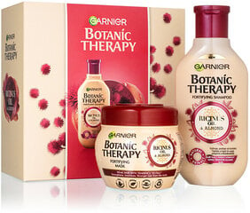 Rinkinys Garnier Ricinus Oil & Almond: šampūnas, 250 ml + plaukų kaukė, 300 ml kaina ir informacija | Šampūnai | pigu.lt