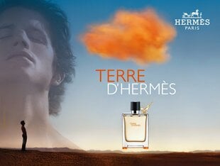 Дезодорант для мужчин Hermes Terre D Hermes, 75 мл цена и информация | Мужская парфюмированная косметика | pigu.lt