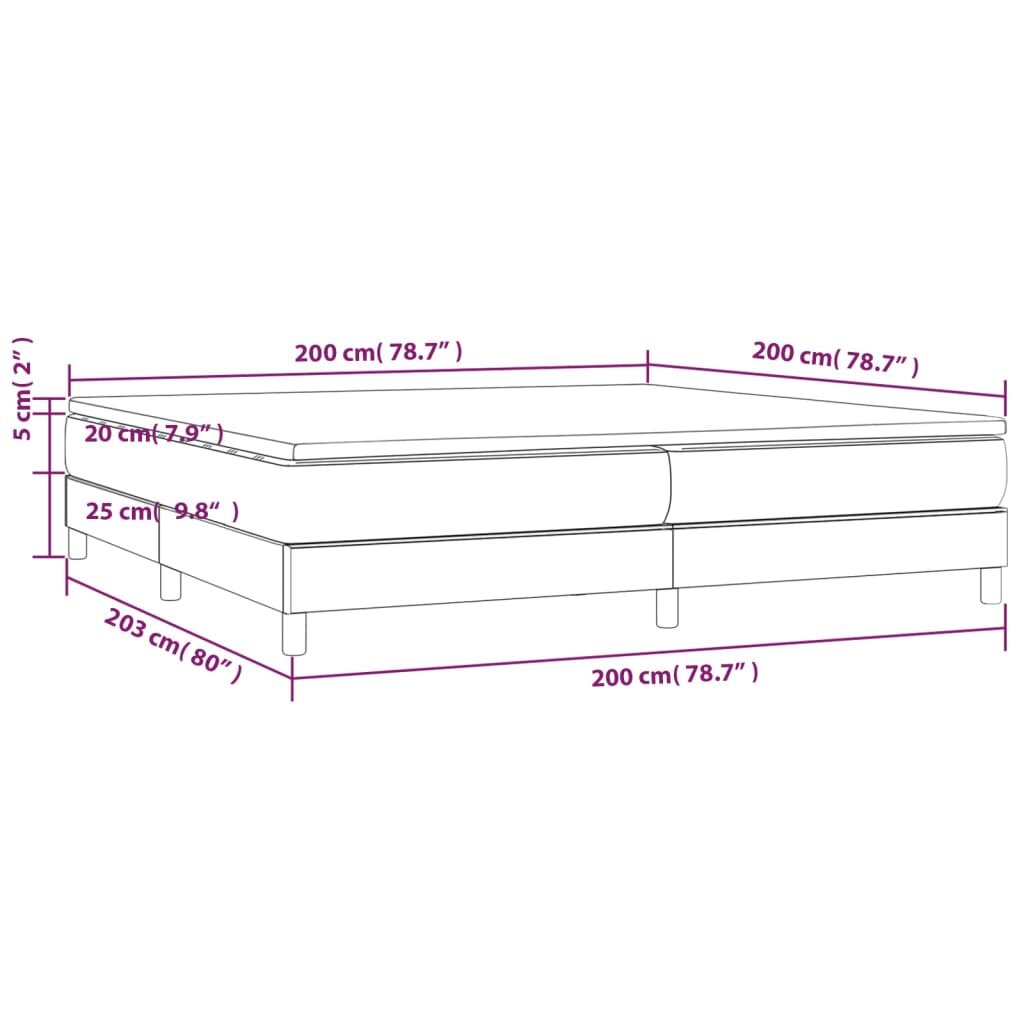 vidaXL Lova su spyruoklėmis ir čiužiniu, tamsiai pilka, 200x200 cm kaina ir informacija | Lovos | pigu.lt