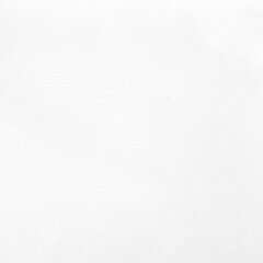 vidaXL Lova su spyruoklėmis ir čiužiniu, balta, 90x190cm, dirbtinė oda цена и информация | Кровати | pigu.lt