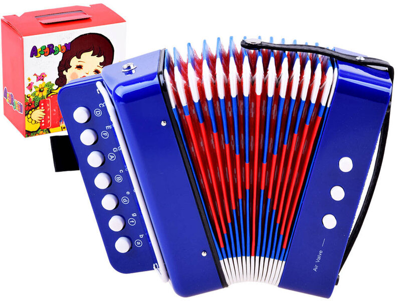 Vaikiškas akordeonas, mėlynas kaina | pigu.lt
