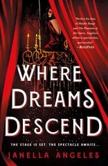 Where Dreams Descend: A Novel kaina ir informacija | Knygos paaugliams ir jaunimui | pigu.lt