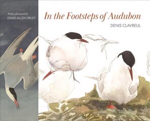 In the Footsteps of Audubon цена и информация | Биографии, автобиогафии, мемуары | pigu.lt