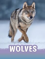 Wolves kaina ir informacija | Knygos paaugliams ir jaunimui | pigu.lt