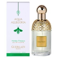 Guerlain Aqua Allegoria Herba Fresca EDT 75мл цена и информация | Женские духи | pigu.lt