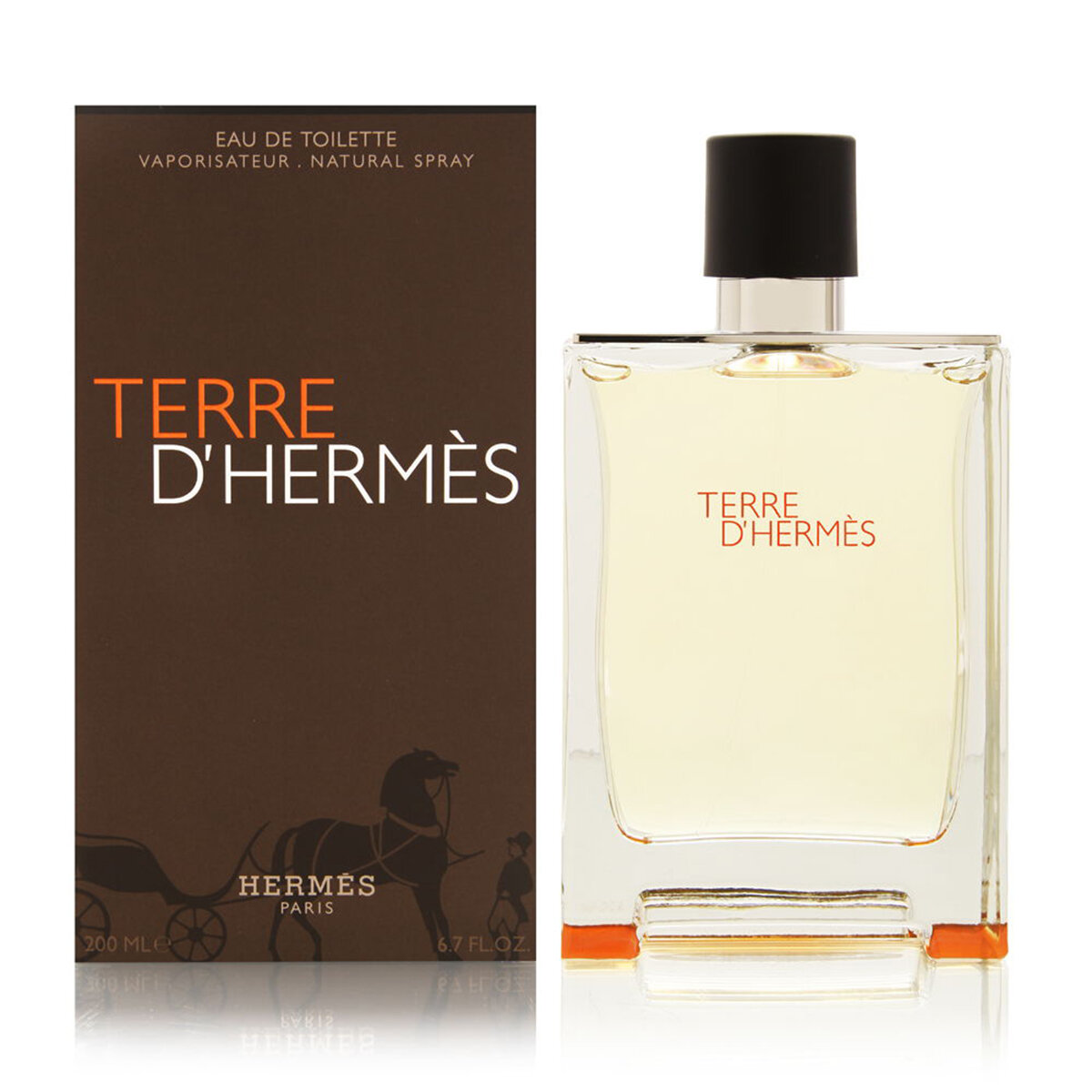 Tualetinis vanduo Hermes Terre D Hermes EDT vyrams 200 ml kaina | pigu.lt