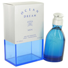 Ocean Dream Ocean Dream Men EDT, 100 мл цена и информация | Мужские духи | pigu.lt