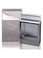 Tualetinis vanduo Jaguar Vision EDT vyrams 100 ml kaina ir informacija | Jaguar Kvepalai, kosmetika | pigu.lt