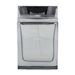 Tualetinis vanduo Jaguar Vision EDT vyrams 100 ml kaina ir informacija | Kvepalai vyrams | pigu.lt