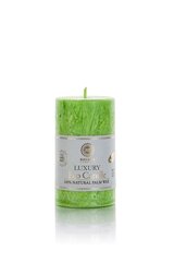 Свеча из пальмового воска PILLAR BRIGHT GREEN Saules Fabrika, 10.5 см цена и информация | Подсвечники, свечи | pigu.lt