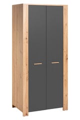 Шкаф Vega 2D, серый цена и информация | Шкафы | pigu.lt
