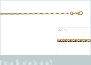 Цепочка с золотым покрытием 750°, 50 см, произведено во Франции цена и информация | Женское колье | pigu.lt