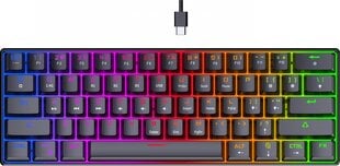 Preyon Brown All Claw Gateron Brown Hot Swap (PBAC61B) цена и информация | Клавиатуры | pigu.lt