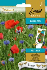 Gėlių Mišinys Red&blue цена и информация | Семена цветов | pigu.lt