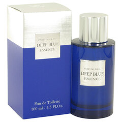 Туалетная вода Deep Blue Essence EDT для мужчин, 100 мл цена и информация | Мужские духи | pigu.lt