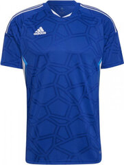 Adidas Футболки Длинные рукaва Для мужчин Fb Hype Ls Tee Blue цена и информация | Мужская спортивная одежда | pigu.lt