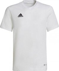 Marškinėliai berniukams Adidas, balti цена и информация | Рубашки для мальчиков | pigu.lt