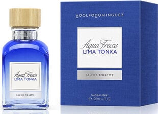 Tualetinis vanduo Adolfo Dominguez A Dominguez Agua Fresca Ltonka EDT moterims/vyrams, 120ml цена и информация | Женские духи | pigu.lt