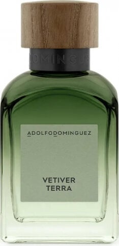 Kvapusis vanduo Adolfo Dominguez Vetiver Terra EDP vyrams, 120ml kaina ir informacija | Kvepalai vyrams | pigu.lt