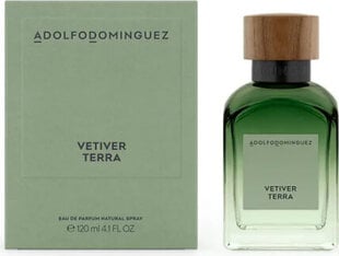 Мужская парфюмерия Adolfo Dominguez Vetiver Terra EDP (200 ml) цена и информация | Мужские духи | pigu.lt
