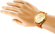 Laikrodis vyrams Bisset BSCE58GIGX05BX цена и информация | Vyriški laikrodžiai | pigu.lt