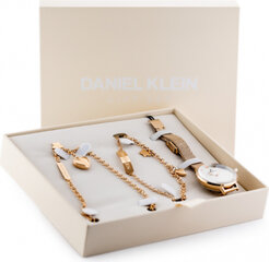 Daniel Klein WATCH DK13022-2 gift set (zl515d) DK13022-2 цена и информация | Женские часы | pigu.lt