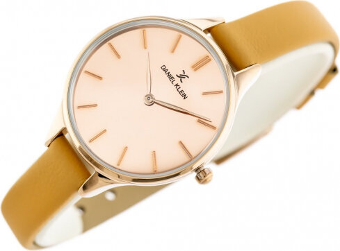 Laikrodis moterims Daniel Klein 11806A-3 kaina ir informacija | Moteriški laikrodžiai | pigu.lt