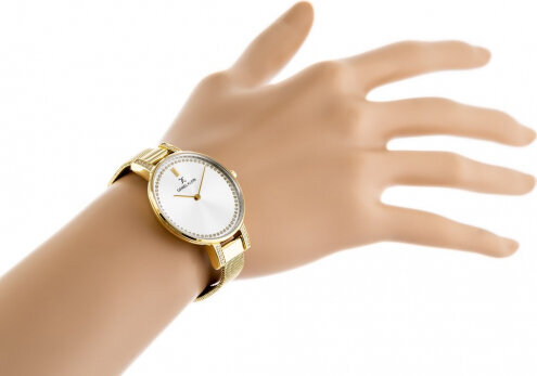Laikrodis moterims Daniel Klein 12177-2 kaina ir informacija | Moteriški laikrodžiai | pigu.lt