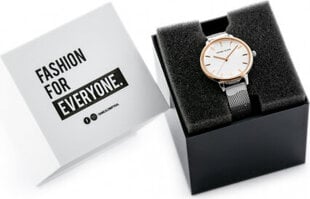 часы daniel klein 12205-4 (zl500b) + коробка цена и информация | Женские часы | pigu.lt