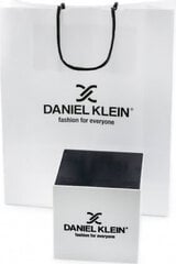 часы daniel klein 12205-7 (zl500e) + коробка цена и информация | Женские часы | pigu.lt