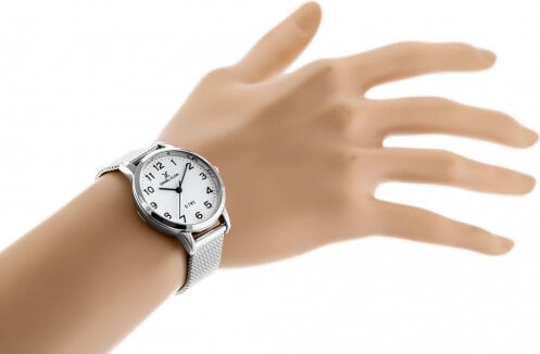 Laikrodis moterims Daniel Klein 12248-1 kaina ir informacija | Moteriški laikrodžiai | pigu.lt