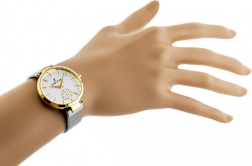 Laikrodis moterims Daniel Klein 12309-3 kaina ir informacija | Moteriški laikrodžiai | pigu.lt
