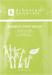 Veido kaukė Erborian Bamboo Shot Mask, 15g kaina ir informacija | Veido kaukės, paakių kaukės | pigu.lt