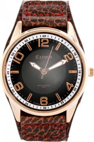 Laikrodis vyrams Extreim EXT-Y017A-3A цена и информация | Vyriški laikrodžiai | pigu.lt